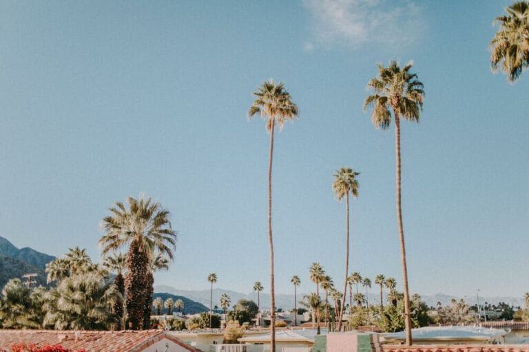 Average Funeral Cost In California (2024 Update)