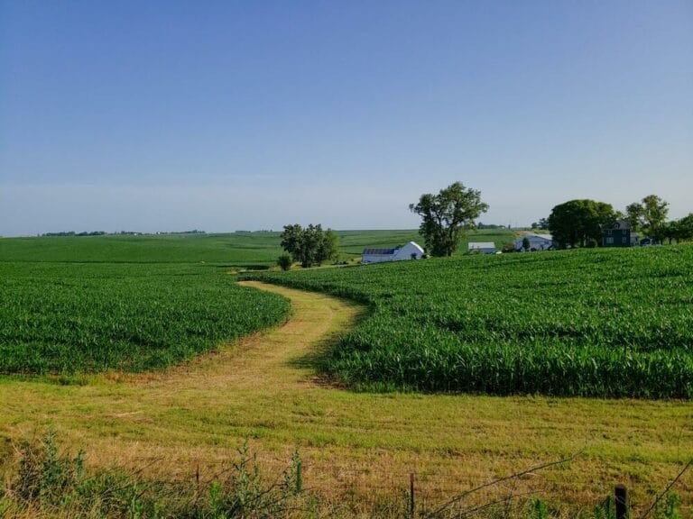 Best Life Insurance In Iowa