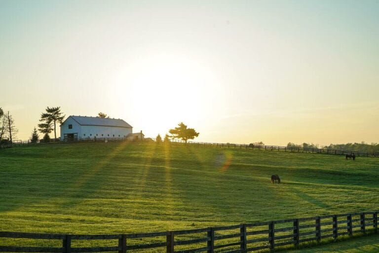 Best Life Insurance In Kentucky
