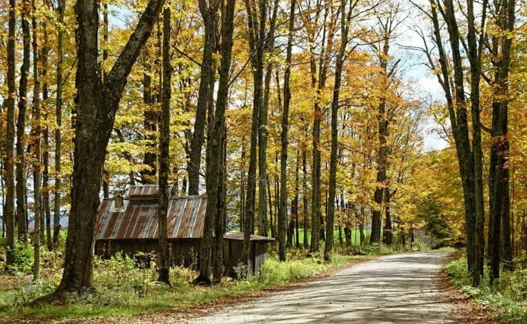 Best Life Insurance In Vermont