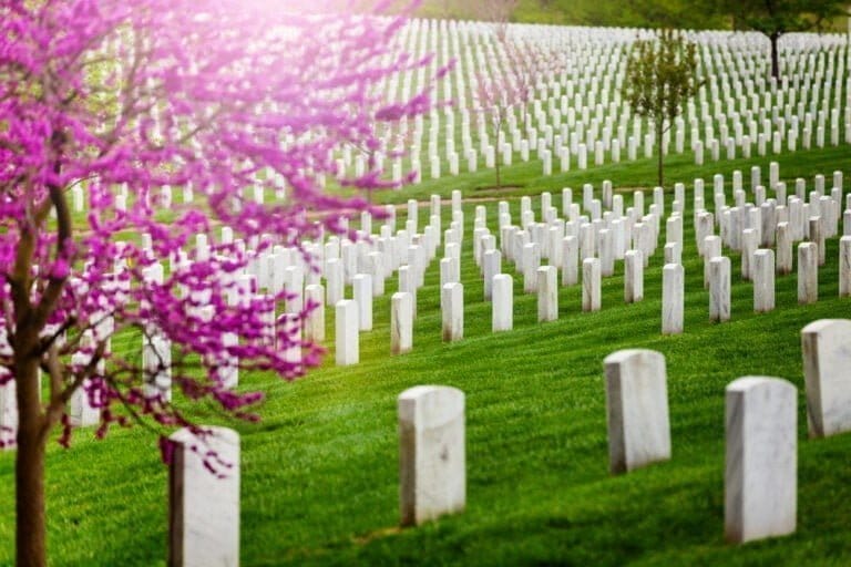 Headstone Costs In 2024 (& How To Save)